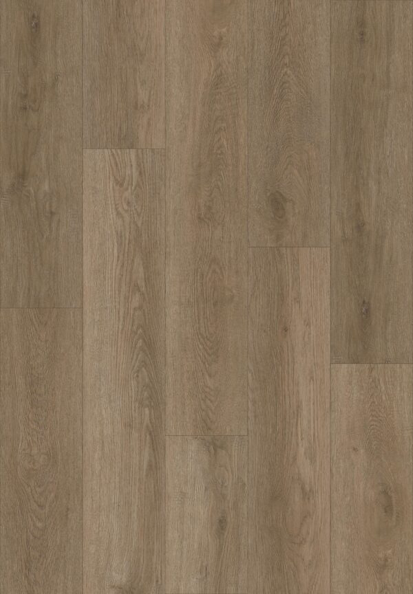 Ashen Oak