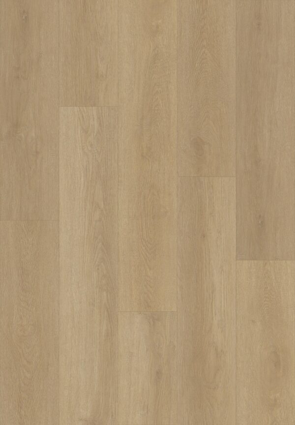 Blonde Oak