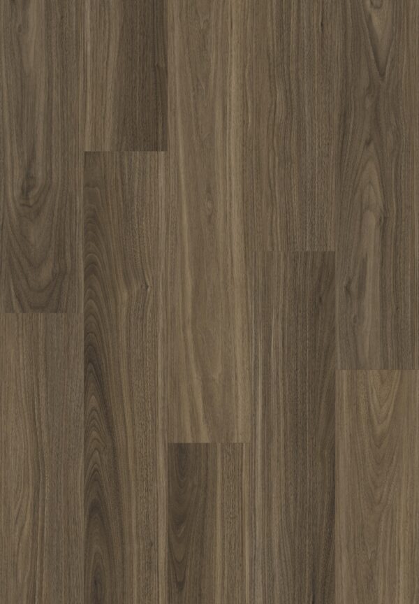 Classic Walnut